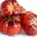 Защо почерняват доматите?