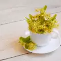 How to Dry Linden Flowers