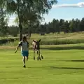 Лос гони до дупка играч на голф в Швеция
