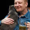 Кои са лондонските пъбове, в които можете да изпиете по бира с котка