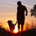 Какъв е мъжът според кучето си