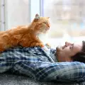 Неочаквани ползи от спането с котка