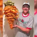 Американец отгледа най-големия морков в света