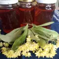 Linden Honey - Healing Properties and Benefits