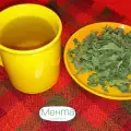 Mint Tea for Good Memory and Concentration