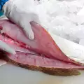 Kako se filetira riba?