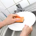 Кухненската гъба е по-мръсна от тоалетната чиния