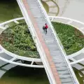 Мост, вдъхновен от лилиите, се построи в Сао Пауло