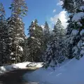 Пътят към хижа Вихрен е затворен поради паднали дървета от снеголом