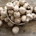 How Long Do Mushrooms Last in the Fridge for?