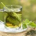 Nettle Water - Uses and All Benefits