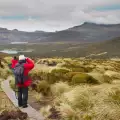 Новозеландски субарктически острови