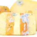 Why Does Mold Appear on Cheese?