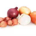 The Different Types of Onions