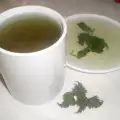 Nettle Decoction for Blood Purification