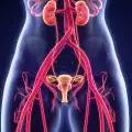 Важно за всяка жена: Разпознайте симптомите на рак на яйчниците