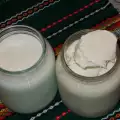 Homemade Sheep Yogurt