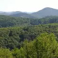 Съдът в Разлог възстанови правата на Белица върху спорни гори