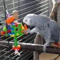 Как да направим фитнес зала за папагали