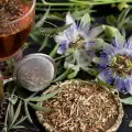 Useful Properties of Passionflower