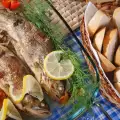 How to Quickly and Easily Prepare Delicious Trout