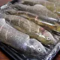 How To Clean Trout?