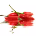 Šta leči ljuta paprika?