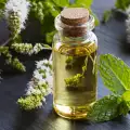 Peppermint Oil - Benefits and Uses