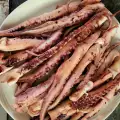 Grilled Octopus Tentacles