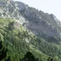 Огнеборци спасиха от пожар Пирин планина