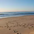 Колко чисти са плажовете във Варненско за лято 2014