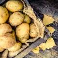 Пръстеновидно гниене на картофи