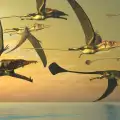 Каква е връзката между динозаврите и птиците