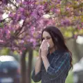 Изменението на климата може да влоши сезона на алергиите