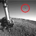 It Can`t Be! Flying Bird Photographed on Mars