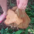 Спасиха кученце, оставено на боклука в завързана торба