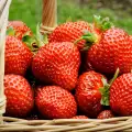 Хапвайте ягоди за свеж тен и здрави зъби