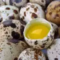 Ползите от пъдпъдъчите яйца