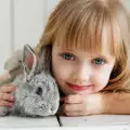Езикът на зайците: какво ви казва вашият пухчо?