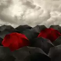 Червените дъждове в Керала