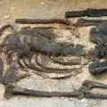 Намериха скелета на най-древното дете