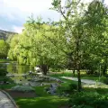 Община Разлог направи ново озеленяване на града