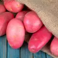 Червени картофи - какво трябва да знаем за тях?