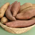 Мексиканският сладък картоф – див ямс