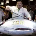 Японец купи най-скъпата риба тон за суши