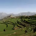 Оризовите тераси на Банауе