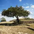 Нови резултати от проучванията на крепостта Калето край Русе