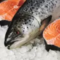 Cât timp se poate păstra peștele congelat?