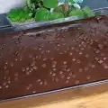 Čokoladni kolač sa čokoladnim mrvicama