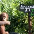 Зоологическа градина в Сингапур